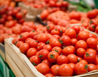 В Україну не пропустили майже 20 тонн заражених томатів із Туреччини